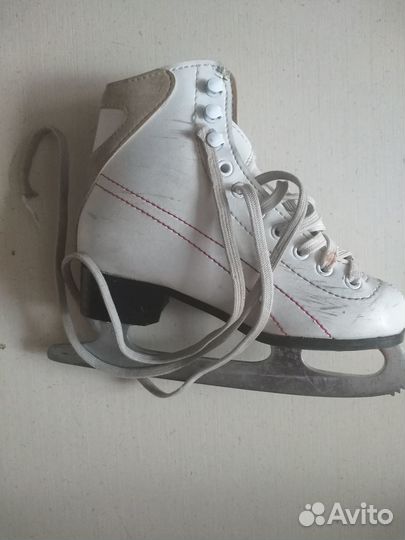 Коньки 29