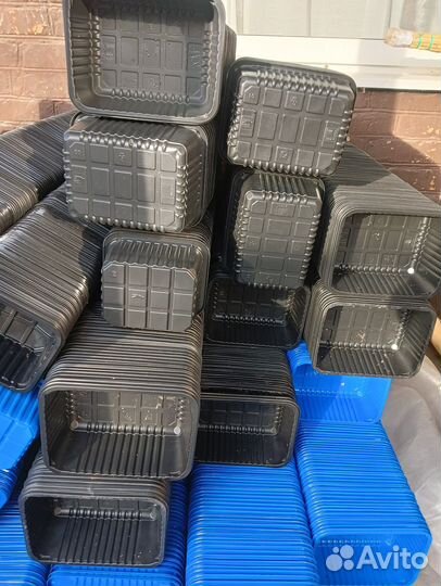 Лоток для рассады