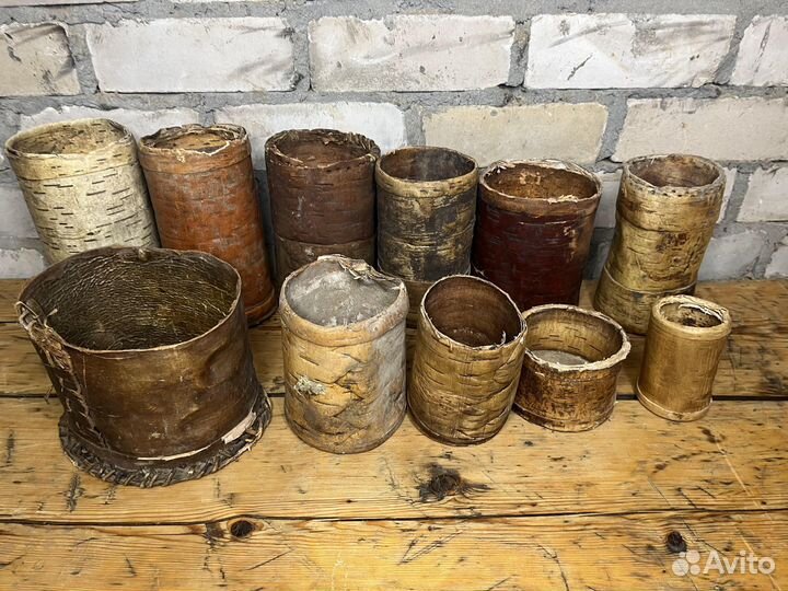 Туяса Берестяное Плетение 2