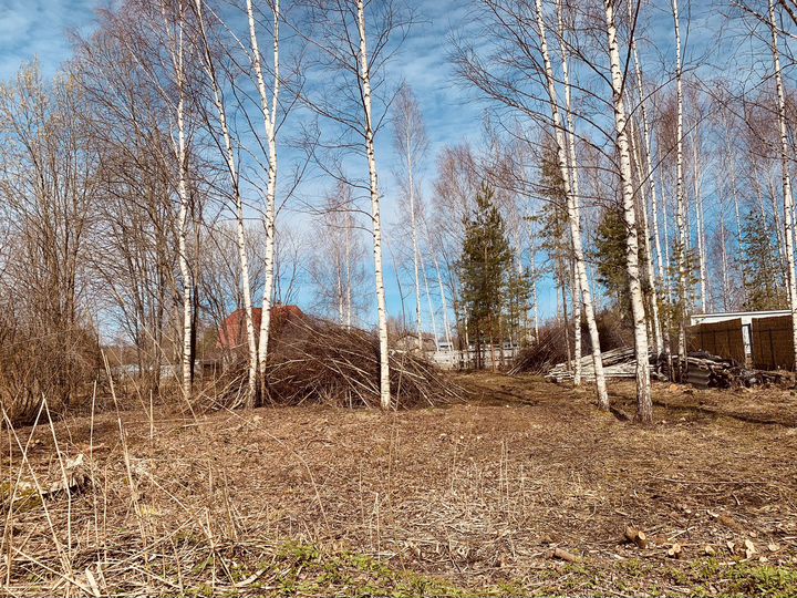 Участок 10 сот. (СНТ, ДНП)