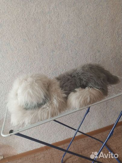 Большая мягкая игрушка (подушка) Собака