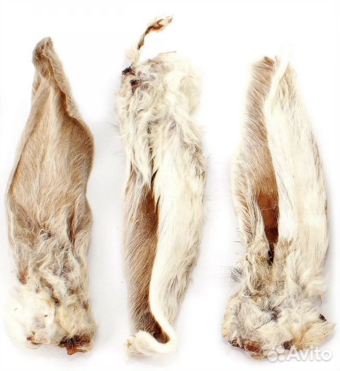 Лакомства для собак