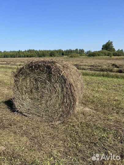Сено в рулонах по 300 кг