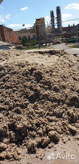 Жом свекловичный