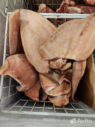 Свинные уши для собак