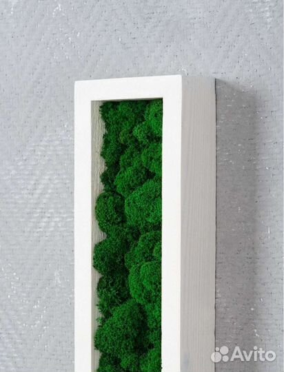Панно со мхом/ декорация настенная