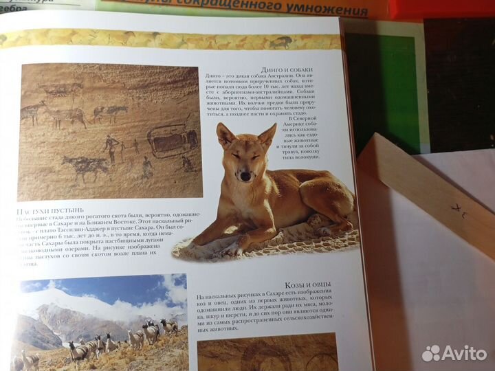 Древний мир полная энциклопедия