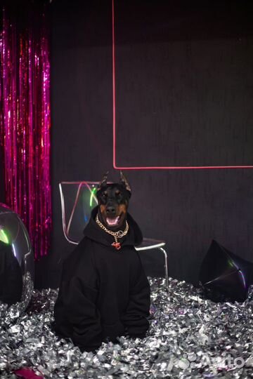 Аренда фотозоны