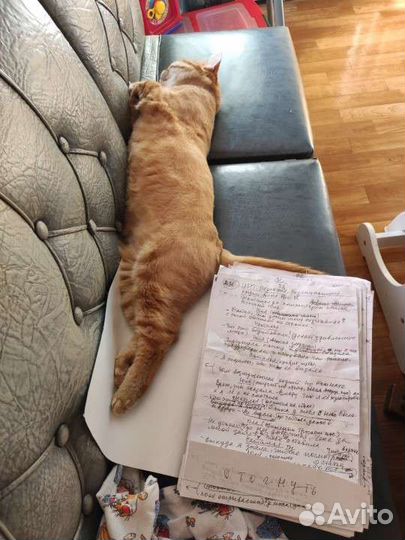 Наборщик текста на дому