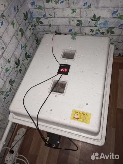 Автоматический инкубатор