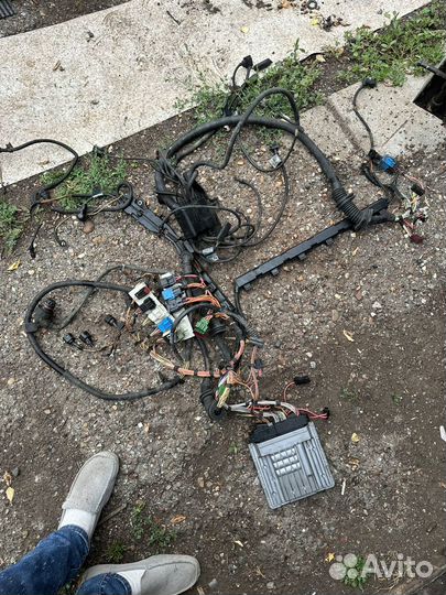 Блок управления двигателя мозги эбу бмв е60