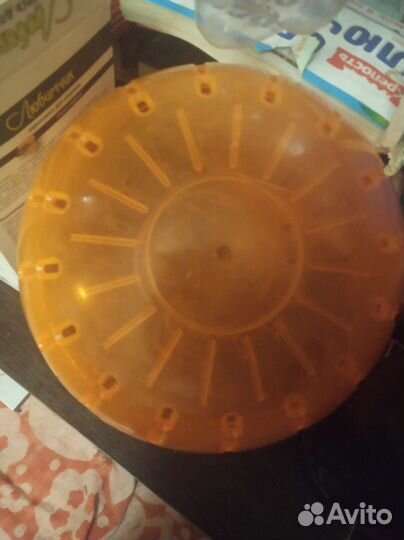 Прогулочный шар для грызунов