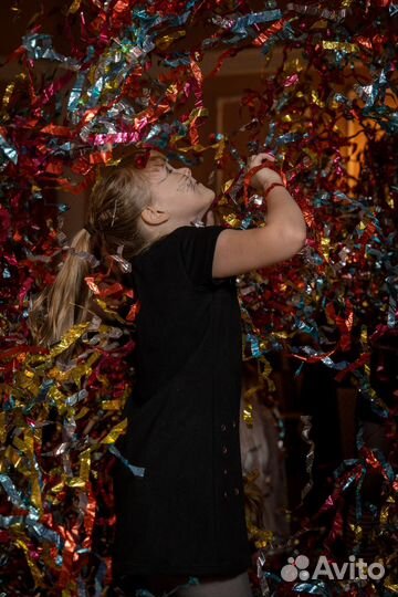 Ведущий на праздник