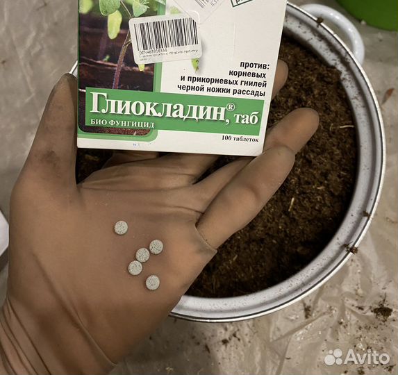 Грунт для растений