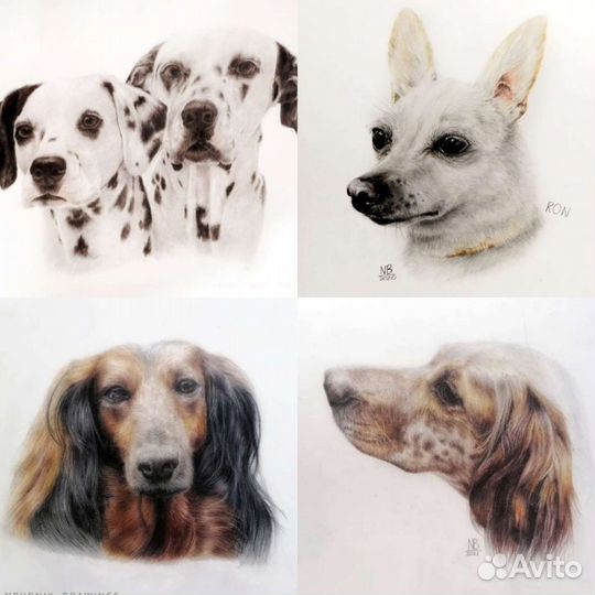 Нарисую вашего любимого питомца