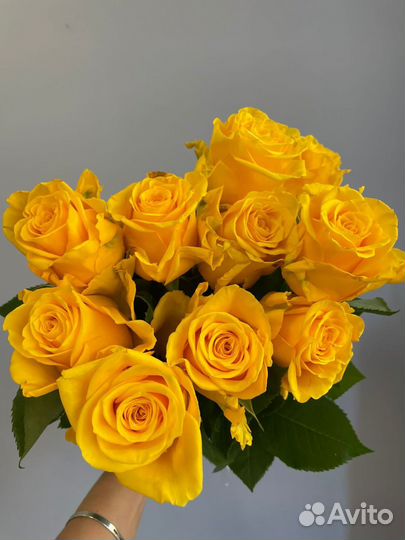 Цветы розы и букеты с доставкой