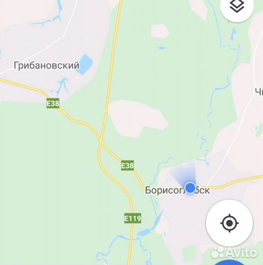 Продажа выползков (Дендробена Венета)