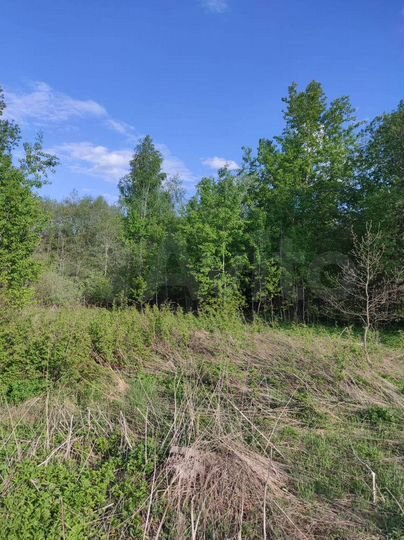 Участок 12,5 сот. (ИЖС)