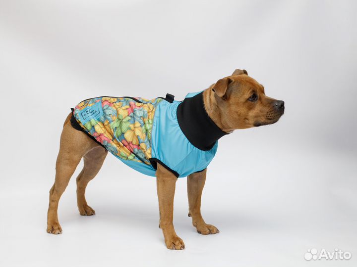 Жилетка для собак