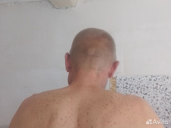 Родственники на час
