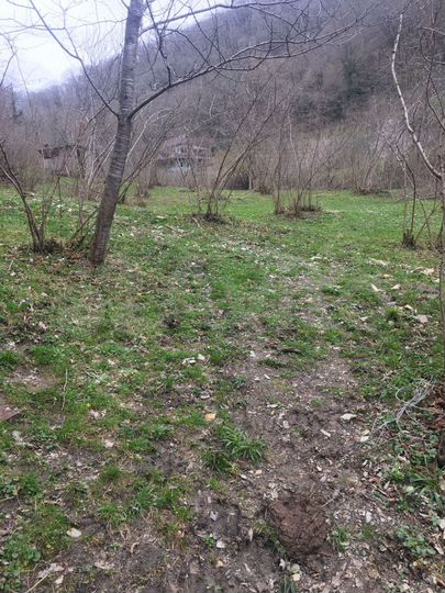 Участок 12 сот. (ИЖС)