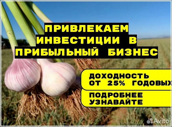 Инвестор в прибыльный бизнес