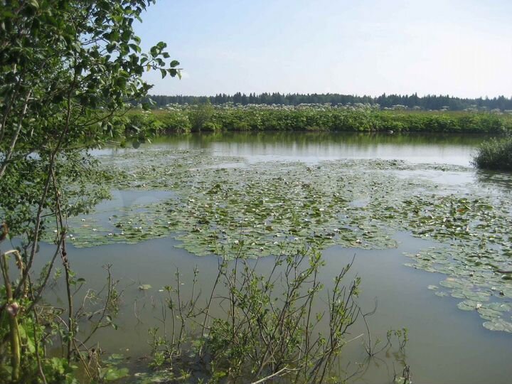 Участок 4,12 га (СНТ, ДНП)