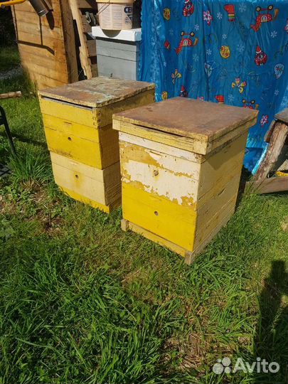 Улей Рута на 10 рамок