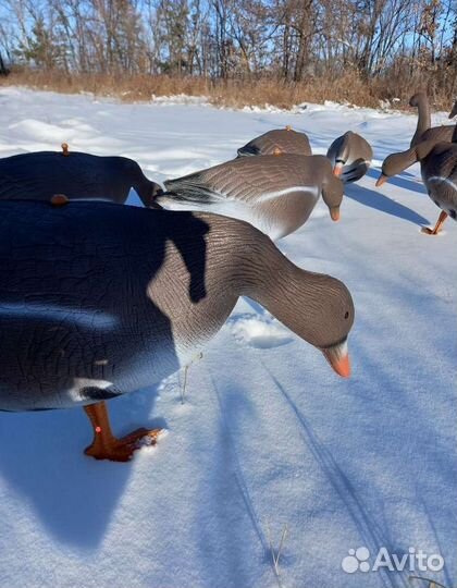 Чучела (профиля) гусей для охоты (15 комплектов)