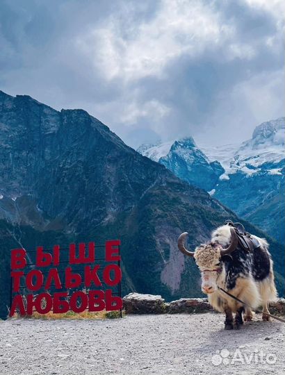 Экскурсия в Домбай