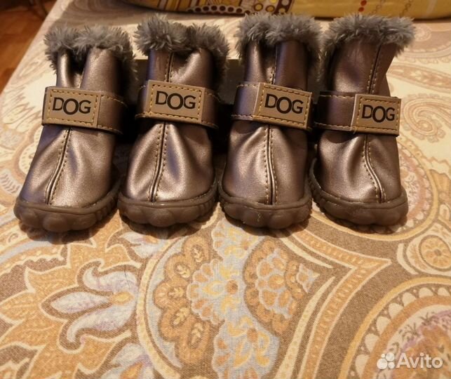 Обувь для животных