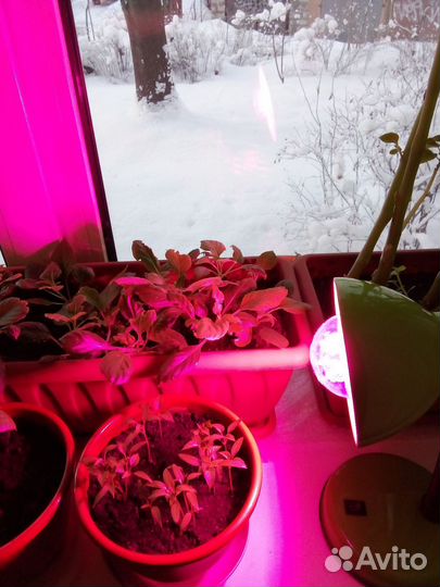 Лампа настольная