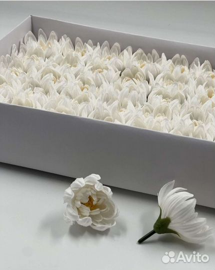 Мыльные розы и астры