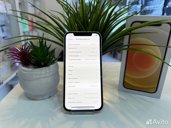 iPhone 12, 256 ГБ