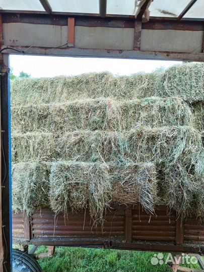 Подаю многотравия самая лучшая трава