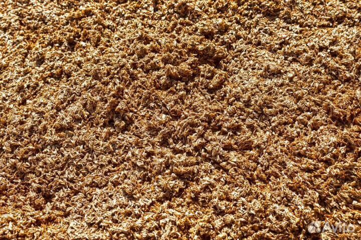 Пивная дробина