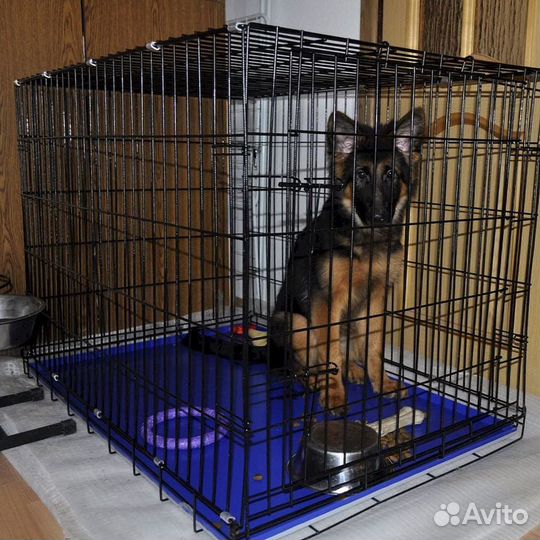 Клетка для перевозки собак