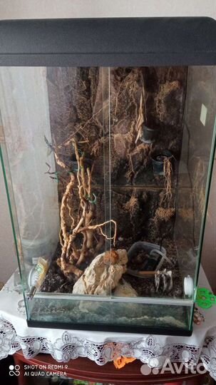 Террариум для рептилий