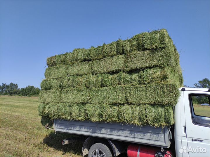 Продажа сена в тюках