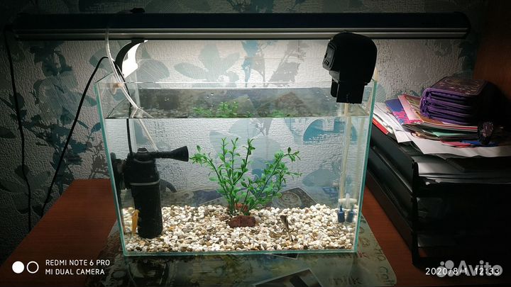 2 аквариума продам, обменяю