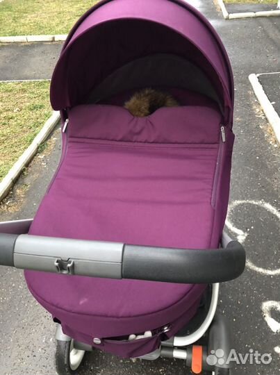 Коляска stokke kruzi