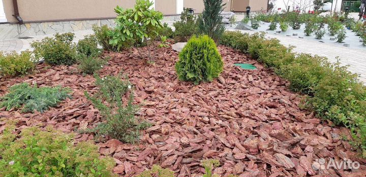 Мульча, кора лиственницы