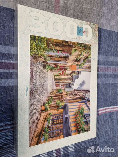 Пазл 3000 штук step puzzle