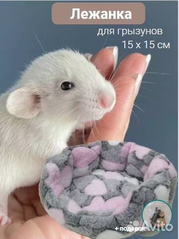 Лежанка 15х15см для крыс, хомяков