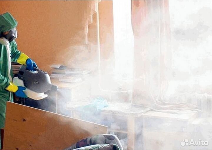 Уничтожение клопов тараканов клещей