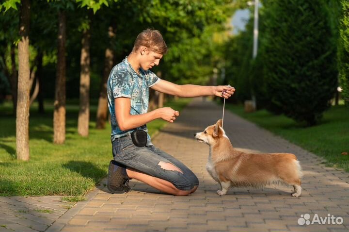 Услуги хендлера