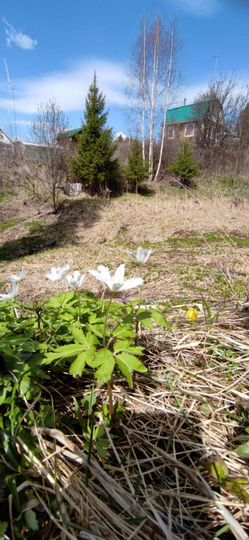 Дача 75 м² на участке 20 сот.