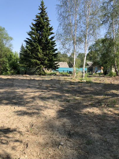 Участок 19,5 сот. (СНТ, ДНП)