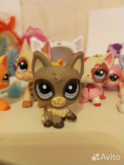 Littlest Pet Shop 1953