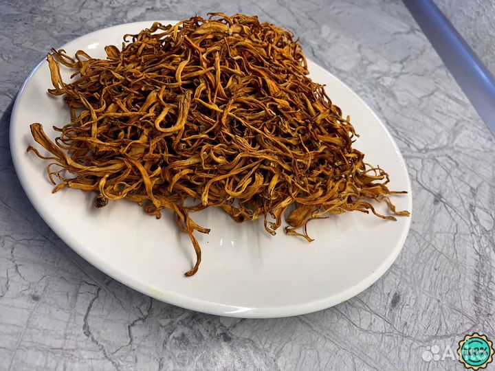 Кордицепс гриб